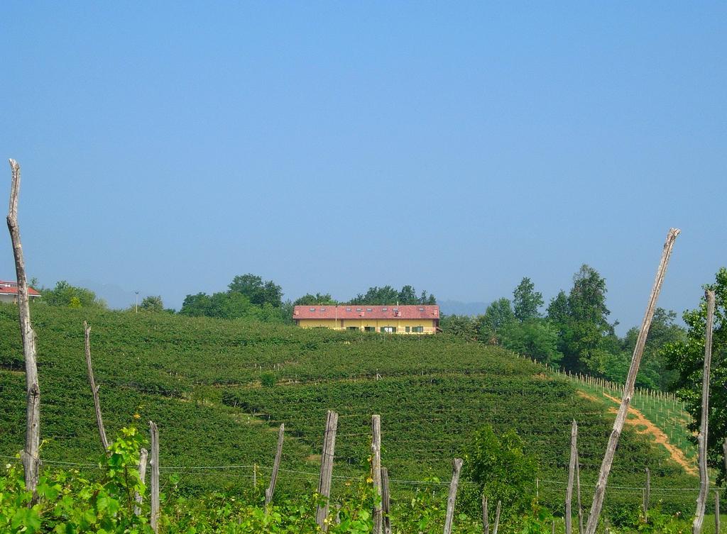 Agriturismo Turina Bricherasio المظهر الخارجي الصورة