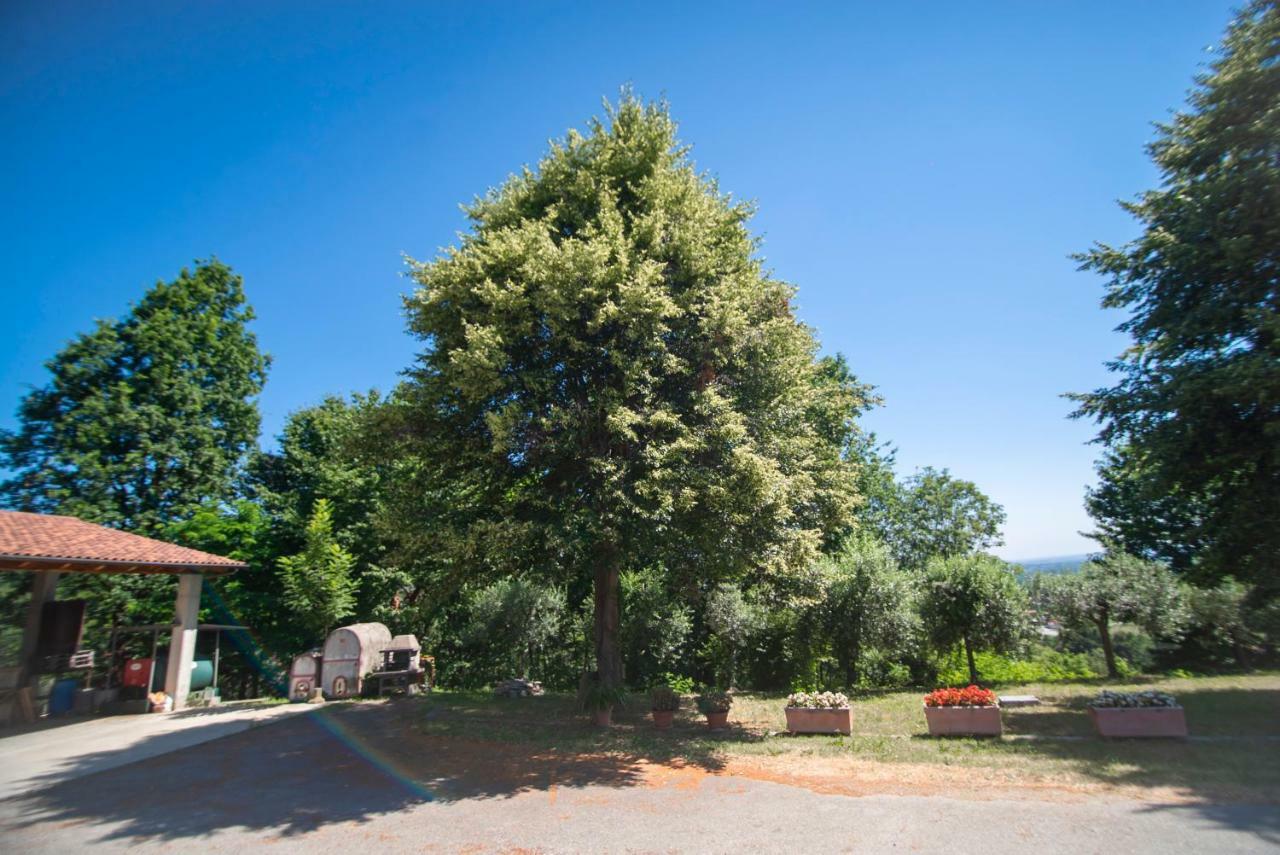 Agriturismo Turina Bricherasio المظهر الخارجي الصورة